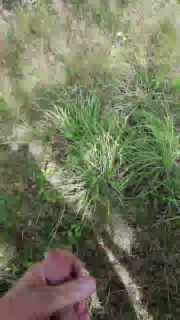 Outdoorgeil1  11-08-2021 Recorded Video XXX